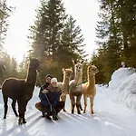 Mirador سيفيلد ان تيرول