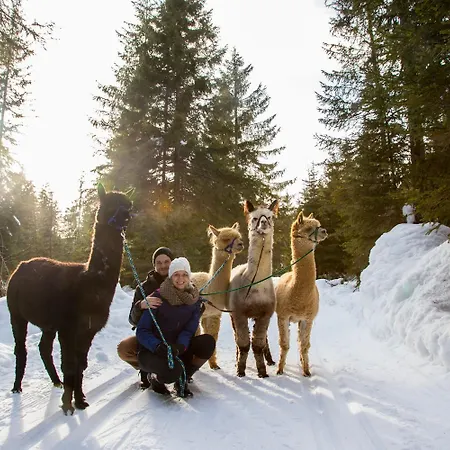 Mirador Seefeld in Tirol